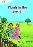 Plants in the garden